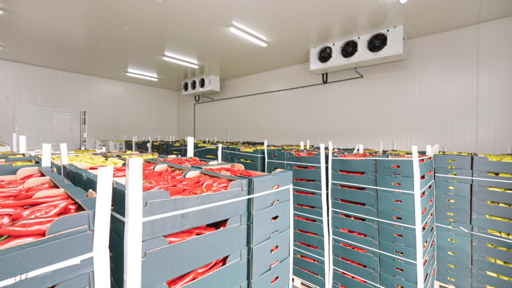 Cold Storage Environment